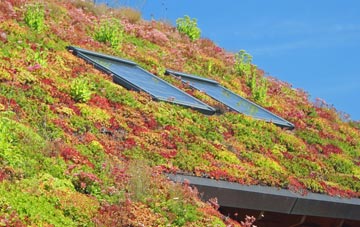 Prinsted living roof systems